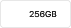 256GB