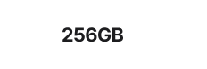 256GB