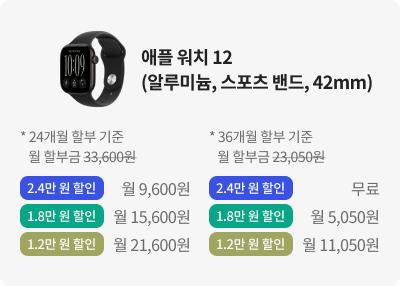 애플 워치 12(알루미늄, 스포츠 밴드, 42mm)
