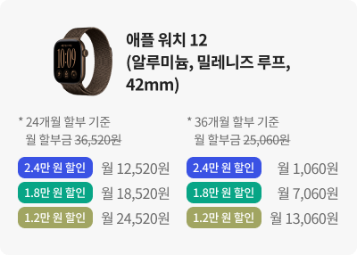애플 워치 12(알루미늄, 밀레니즈 루프, 42mm)