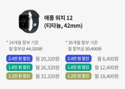 애플 워치 12(티타늄, 42mm)